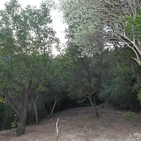 La Gatta Del Cilento *